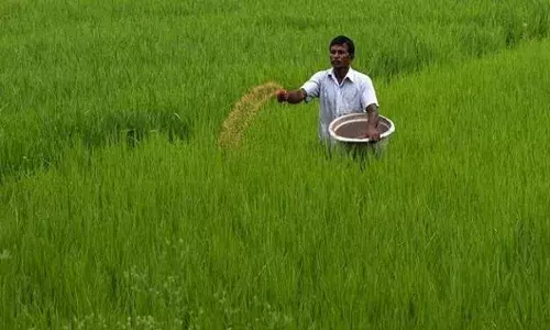 खेत-खलिहान के प्रयोगधर्मियों के नवाचारों को संरक्षण आज की जरूरत