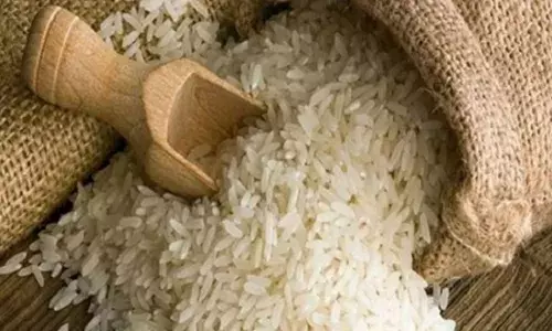 सरकार अब भारत ब्रांड के तहत 25 रुपये प्रति किलो की दर से बेचेगी चावल