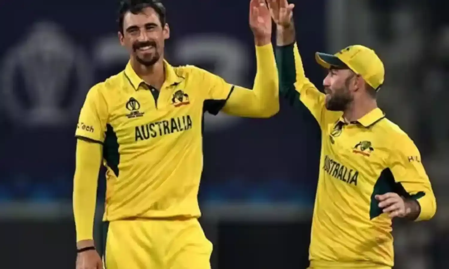 ऑस्ट्रेलिया के मिचेल स्टार्क ने अंतरराष्ट्रीय क्रिकेट में पूरे किये 650 विकेट