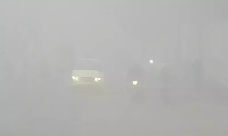 मप्र के 30 जिलों में कोहरा छाया, 11 जनवरी तक नहीं मिलेगी राहत मप्र के 30 जिलों में कोहरा छाया, 11 जनवरी तक नहीं मिलेगी राहत