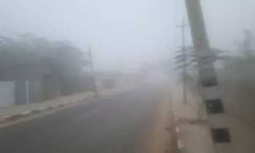 जयपुर में घने कोहरे और तेज ठंड ने नववर्ष की सुबह का स्‍वागत किया