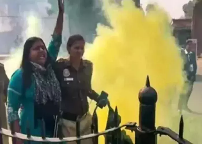 हाई कोर्ट ने संसद सुरक्षा चूक केस में नीलम की बंदी प्रत्यक्षीकरण याचिका खारिज की