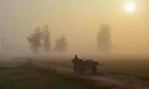 भोपाल समेत कई शहरों में सुबह छाया रहा कोहरा, ठिठुरते रहे लोग