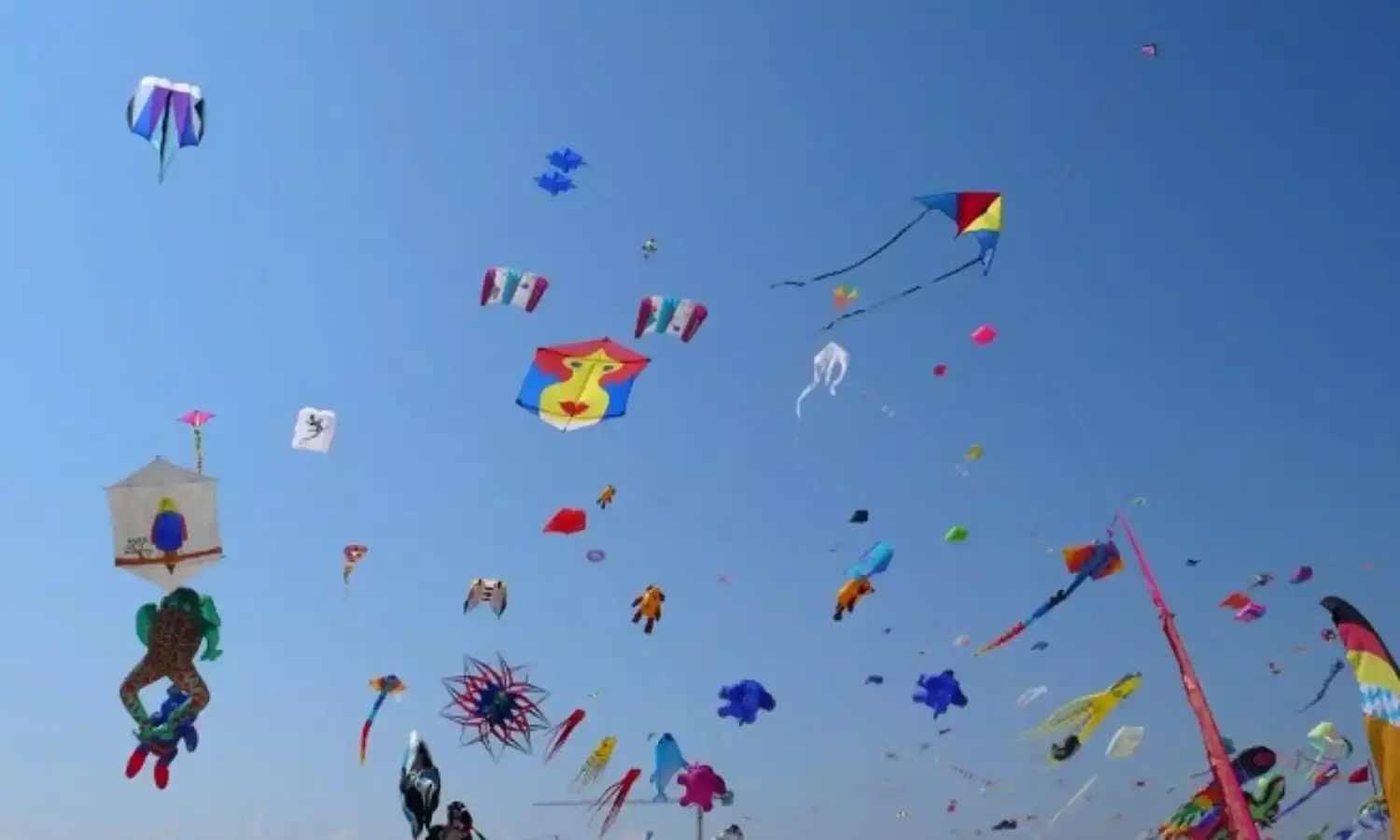 गुजरात में मकर संक्रांति पर पतंगबाजी की दौरान 7 बच्चों की व मप्र में एक बच्‍चे की मौत
