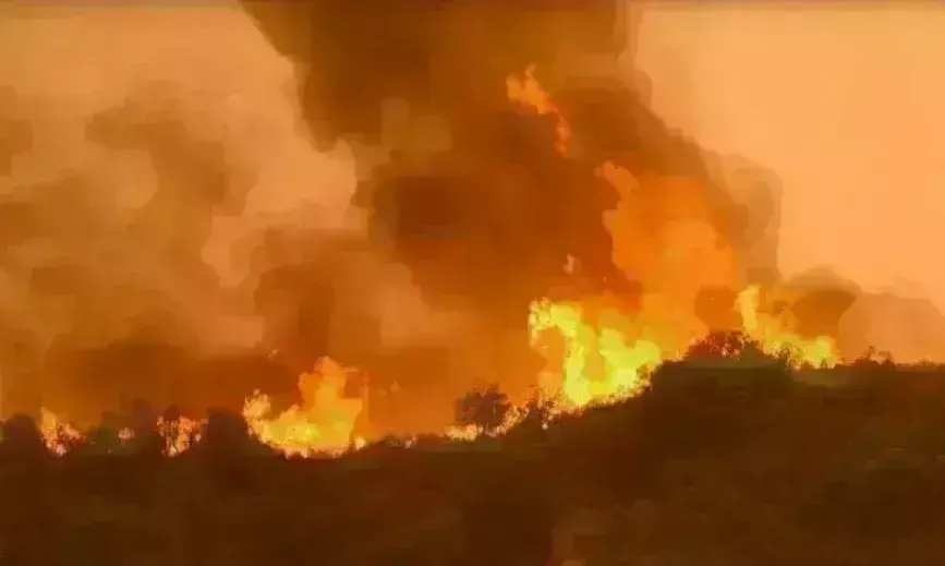बालाकोट और मेंढर इलाकों के जंगल में लगी आग बेकाबू, कई बारूदी सुरंगों में विस्फोट