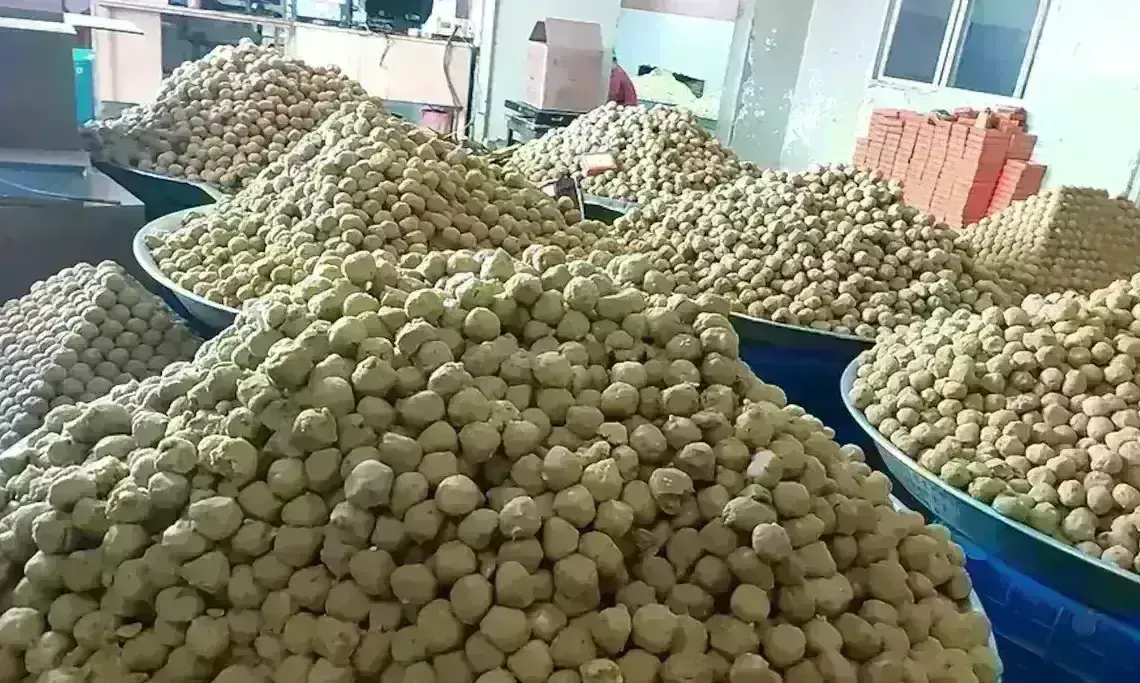 उज्जैन से अयोध्या के लिए रवाना हुए लड्डू, मुख्यमंत्री ने कहा - निमंत्रण ठुकराने वाले अभागे उज्जैन से अयोध्या के लिए रवाना हुए लड्डू, मुख्यमंत्री ने कहा - निमंत्रण ठुकराने वाले अभागे