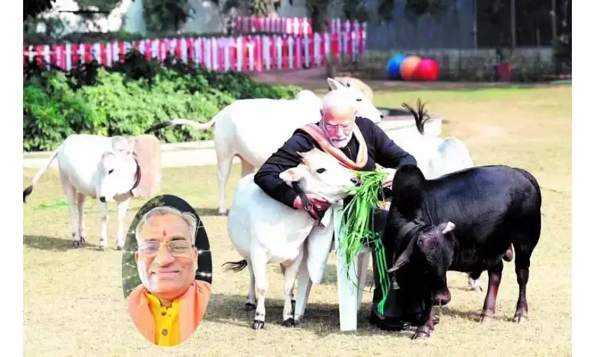 क्या संदेश निहित है मोदी के गो प्रेम के पीछे?