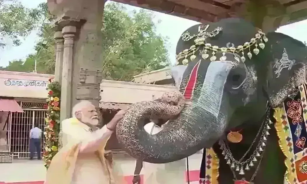 प्रधानमंत्री ने तमिलनाडु के श्रीरंगम मंदिर में पूजा-अर्चना की, रामेश्वरम में रोड शो किया प्रधानमंत्री ने तमिलनाडु के श्रीरंगम मंदिर में पूजा-अर्चना की, रामेश्वरम में रोड शो किया