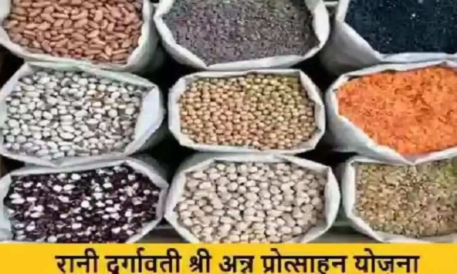 मप्रः रानी दुर्गावती श्रीअन्न प्रोत्साहन योजना के क्रियान्वयन के लिए निर्देश जारी