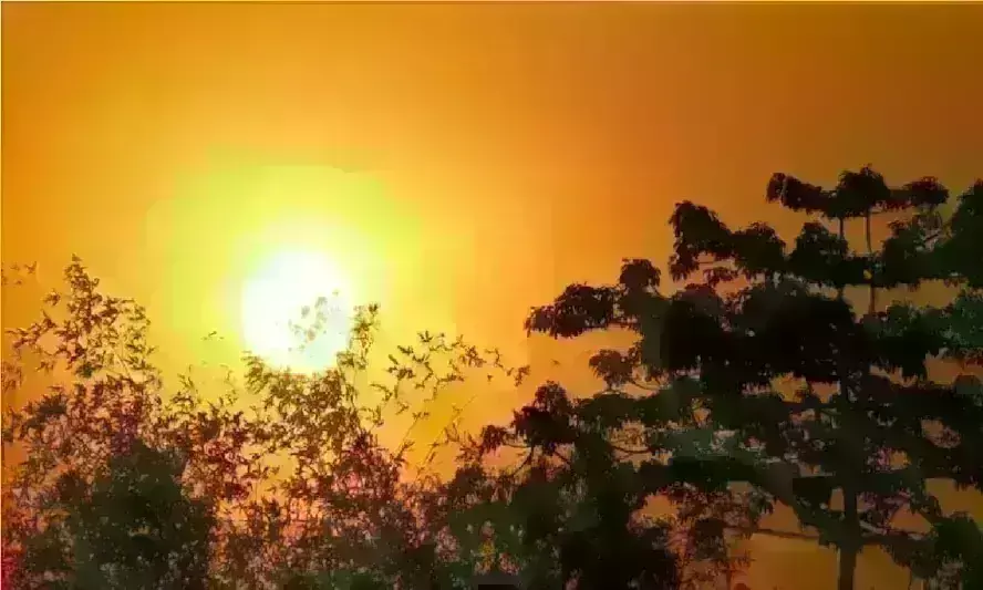 पश्चिमी विक्षोभ से बदला मप्र का मौसम, बढ़ने लगा तापमान