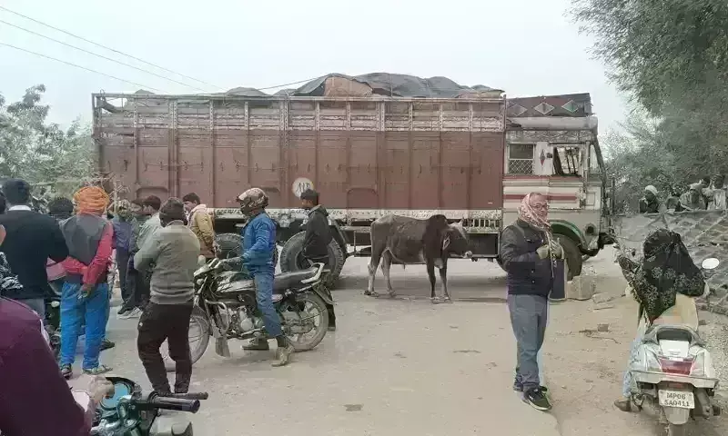 मुरैना में हादसा : ट्रक ने बाइक में मारी टक्कर, ससुर-दामाद की मौके पर ही मौत मुरैना में हादसा : ट्रक ने बाइक में मारी टक्कर, ससुर-दामाद की मौके पर ही मौत