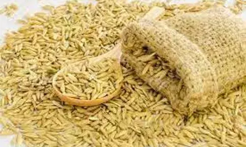 भंडारण के दौरान साढ़े 63 हजार क्विंटल धान रिजेक्ट