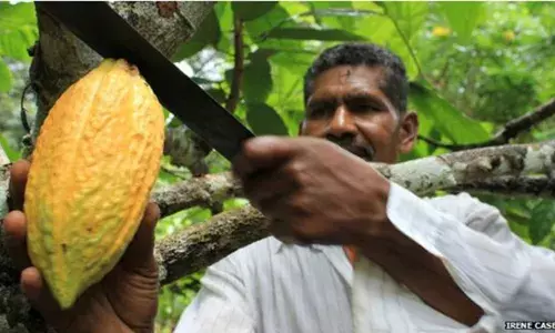 इक्वाडोर से तनाव के बाद भारत से केले खरीद रहा रूस