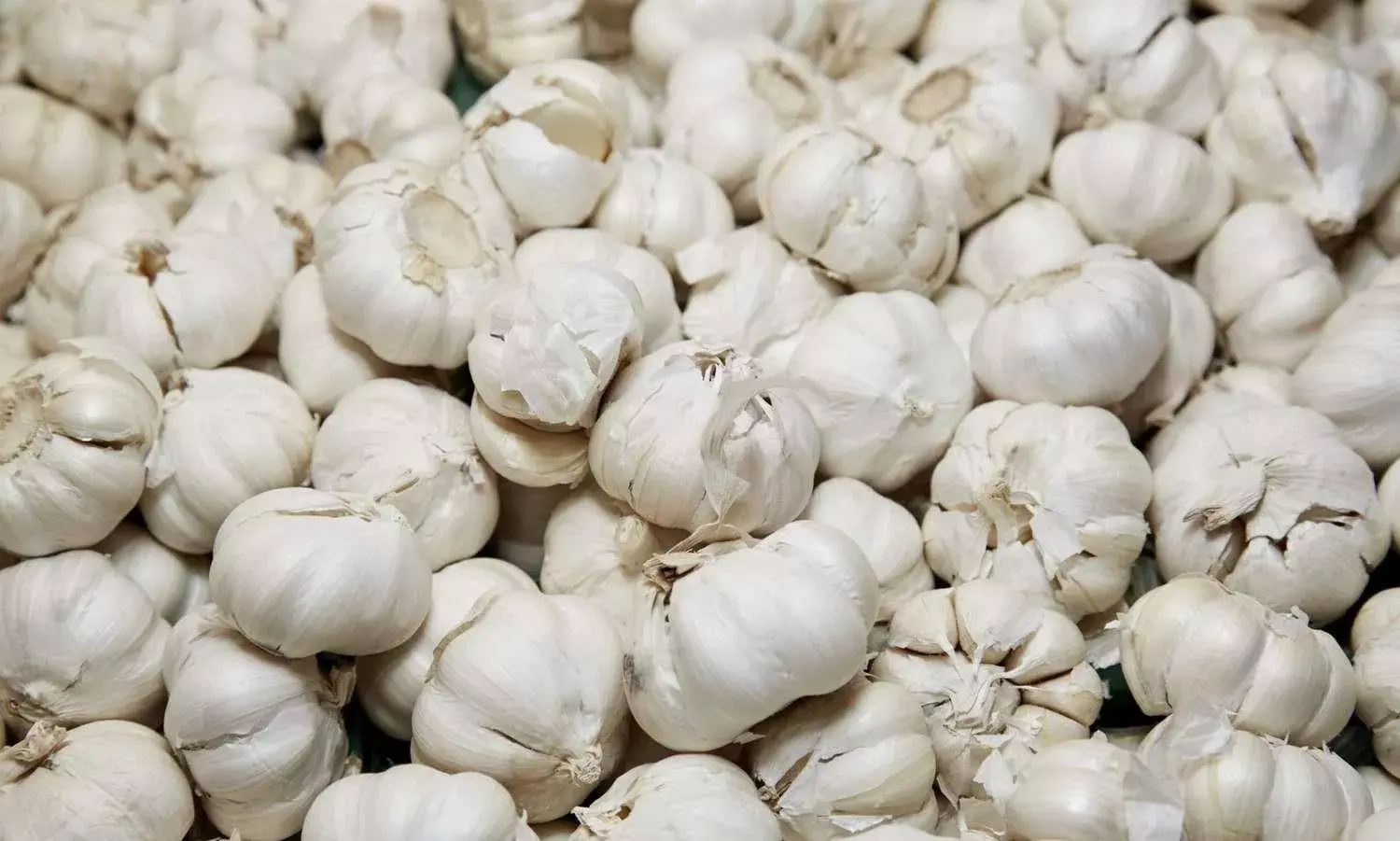 ग्वालियर में बढ़े सब्जियों के दाम, लहसुन 400 और नींबू 160 रुपए किलो हुआ