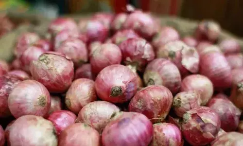 बांग्लादेश में रुलाने लगा प्याज, 120 टका में एक किलो