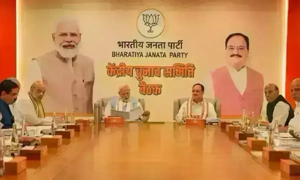 भाजपा राज्यसभा से आने वाले केंद्रीय मंत्रियों को देगी लोकसभा का टिकट, जानिए कौन-कहां से लड़ सकता है चुनाव ?