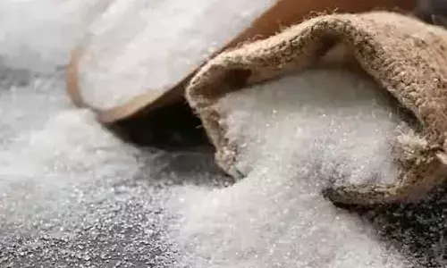 देश में 15 फरवरी तक हुआ 223.68 लाख टन चीनी का उत्पादन