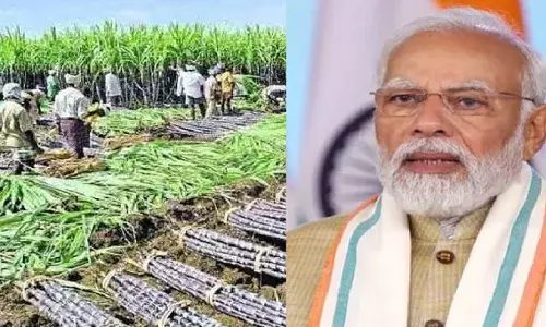 कैबिनेट: गन्ने के मूल्य में 8 प्रतिशत की वृद्धि, अंतरिक्ष क्षेत्र में एफडीआई नीति में उदारीकरण को मंजूरी