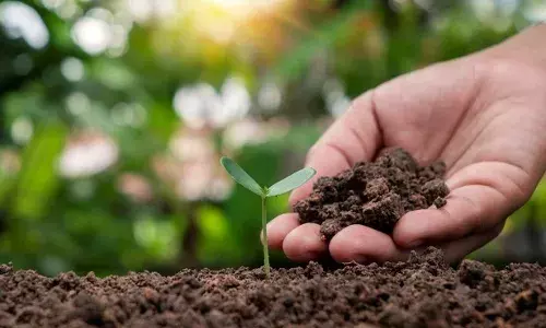 खराब न होने दें अपनी माटी का स्वास्थ्य