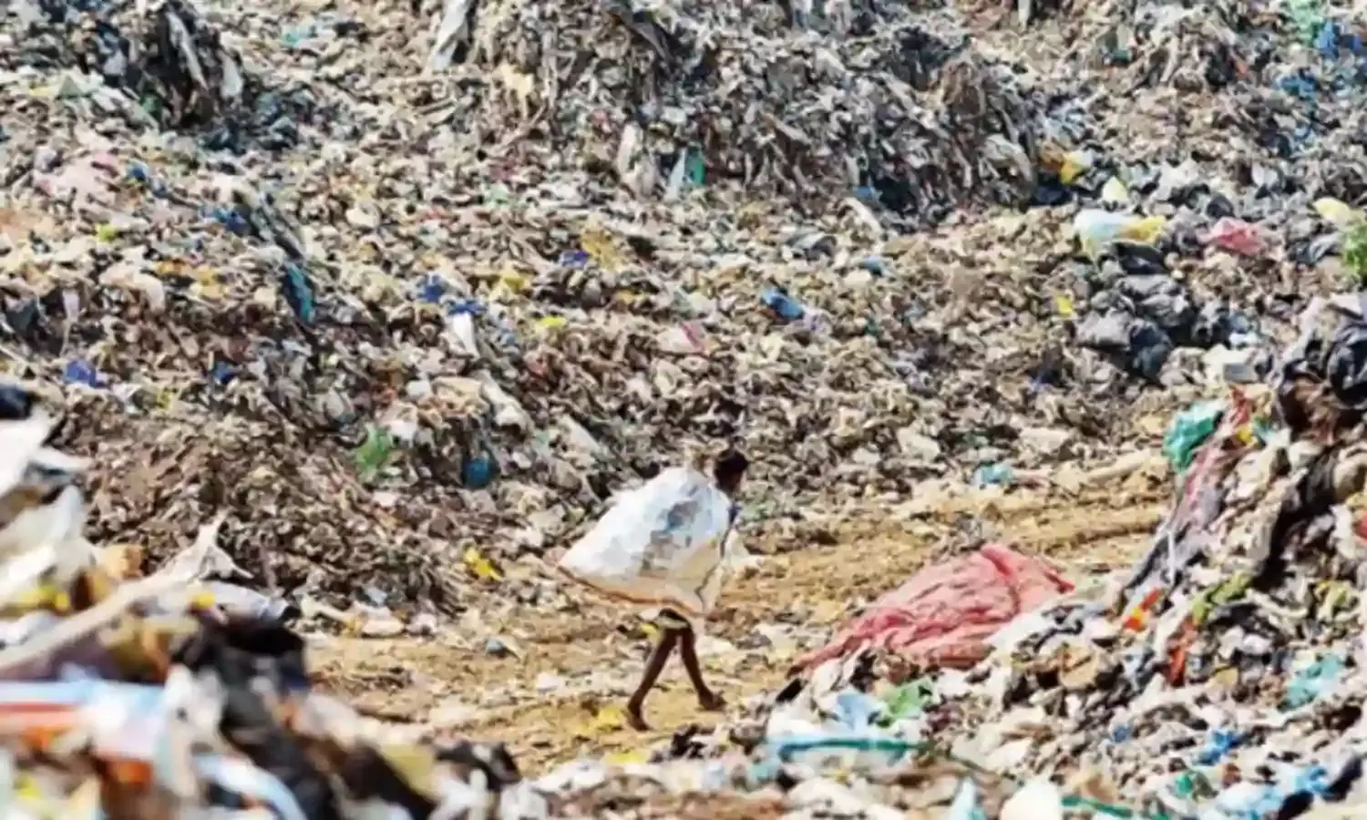 वैज्ञानिक पद्धति से गुवाहाटी के कचरा निपटान की व्यवस्था-अशोक सिंघल
