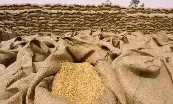 अमेठी के सवा तीन लाख किसानों को गेहूं की बिक्री के लिए 85 क्रय केंद्र खुले अमेठी के सवा तीन लाख किसानों को गेहूं की बिक्री के लिए 85 क्रय केंद्र खुले