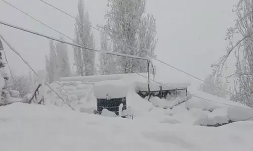 हिमाचल प्रदेश के पांच जिलों में बर्फबारी, चार एनएच समेत 350 सड़कें बंद