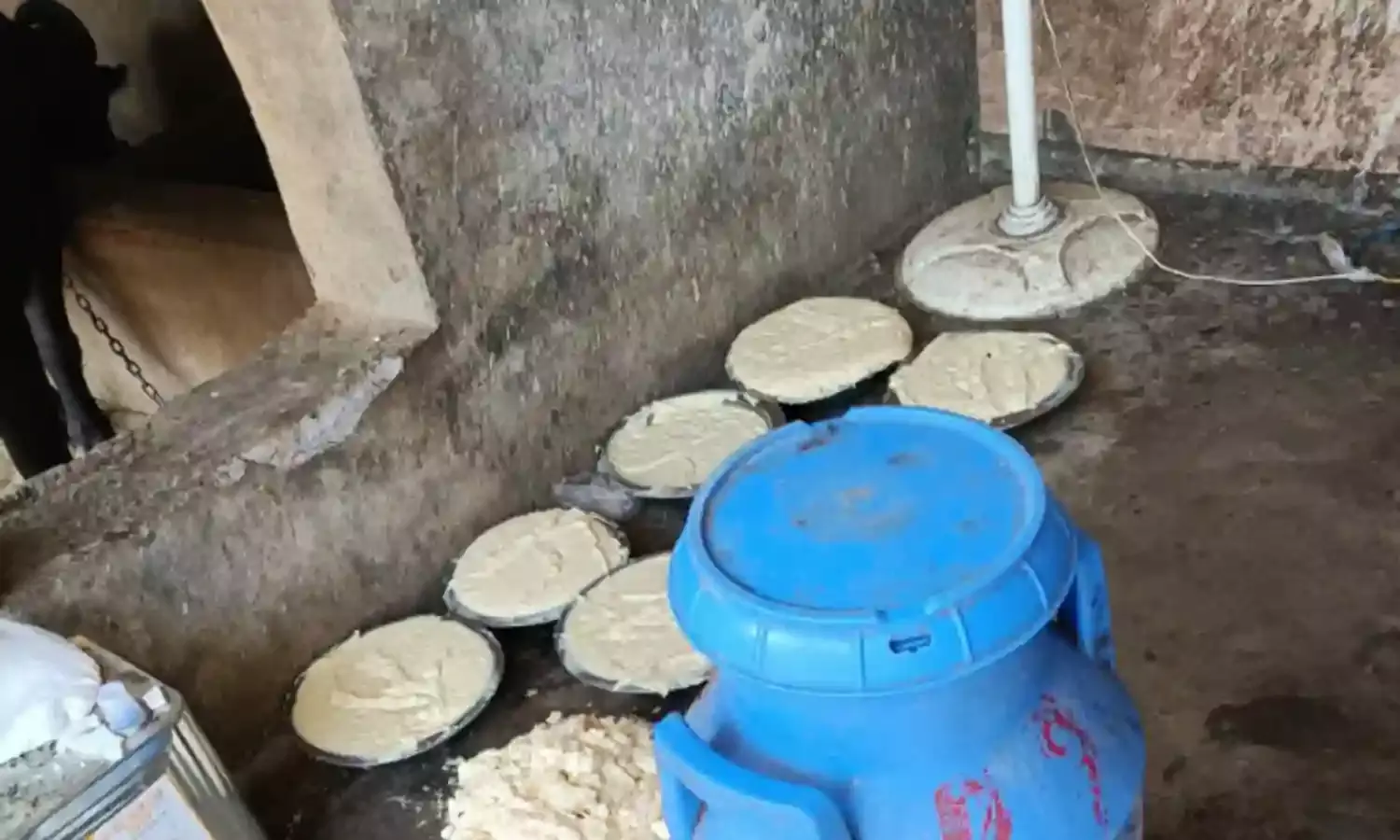 ग्वालियर में नकली फैक्ट्री पकड़ी, पॉमोलिन ऑयल से बनाया जा रहा था मावा ग्वालियर में नकली फैक्ट्री पकड़ी, पॉमोलिन ऑयल से बनाया जा रहा था मावा