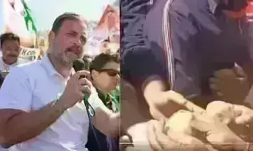शाजापुर में कार्यकर्ताओं ने राहुल गांधी को दिए आलू, कहा - सोना बनाओ, मिला ये...जवाब