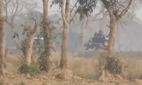 प्रधानमंत्री मोदी ने काजीरंगा में हाथी एवं जीप सफारी का लुत्फ उठाया