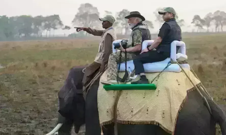 प्रधानमंत्री मोदी पहुंचे काजीरंगा राष्ट्रीय उद्यान, हाथी पर हुए सवार