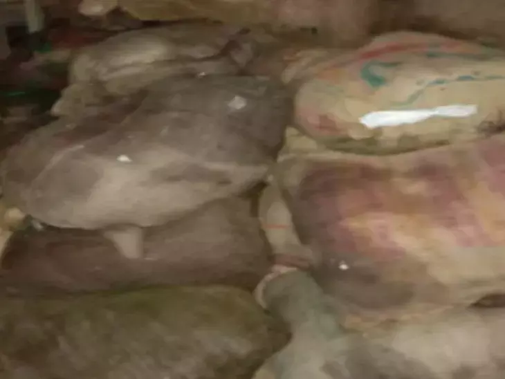 गोरमी से भोपाल भेजा जा रहा था चार लाख का मावा