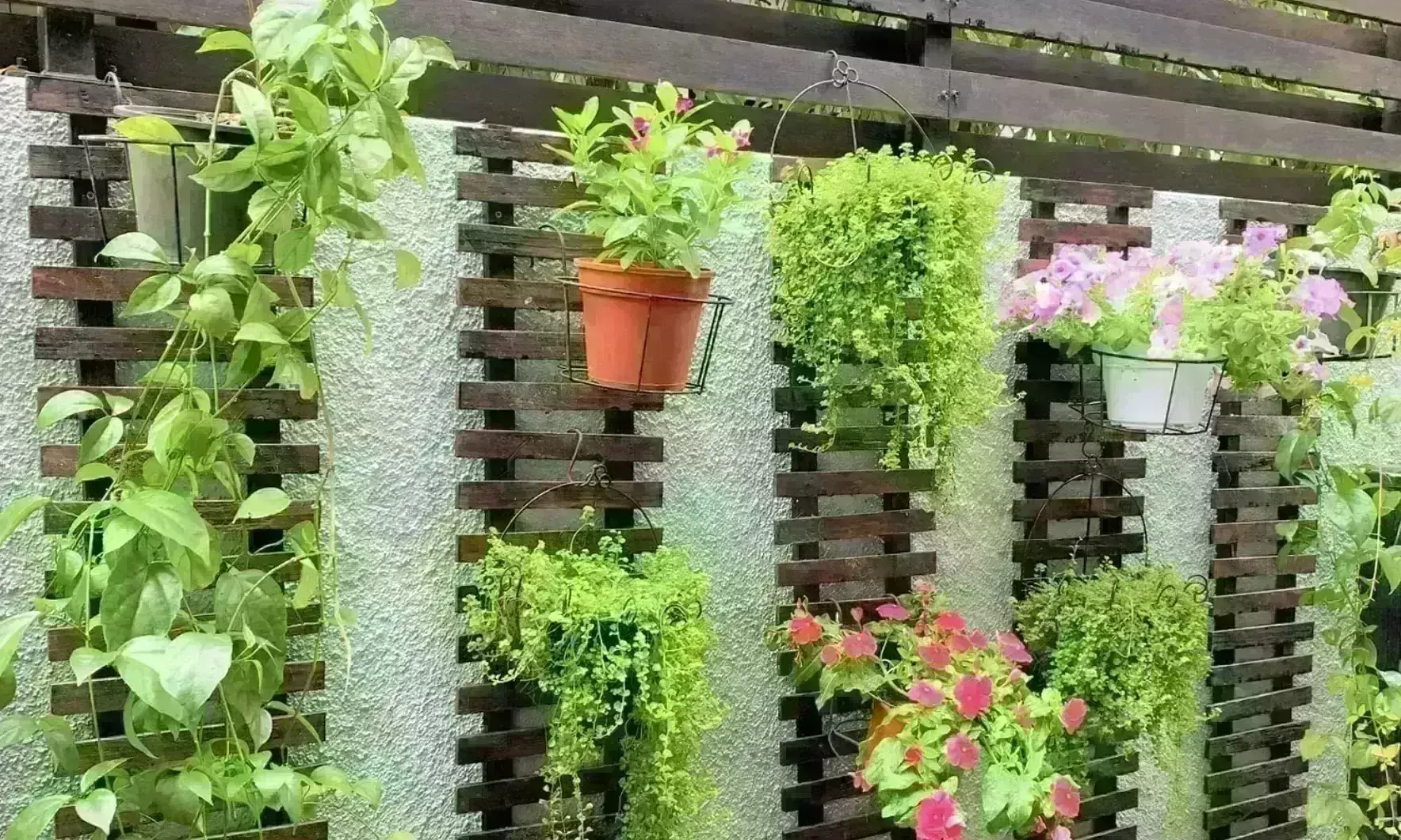 प्रयास सौंदर्यीकरण का, चुनौती सुरक्षा की, ग्वालियर में वर्टिकल गार्डन से चोरी हो रहे पौधे