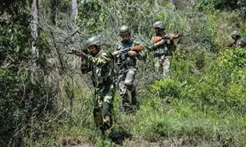 बारामूला में घुसपैठ की कोशिश नाकाम, सुरक्षाबलों ने 1 घुसपैठिये को मारा