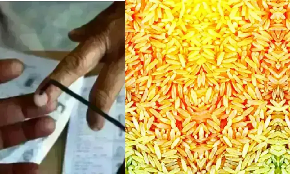 #LoksabhaElection : भाजपा की अनूठी पहल, कार्यकर्ता घर-घर जाकर मतदान के लिए देंगे पीले चावल