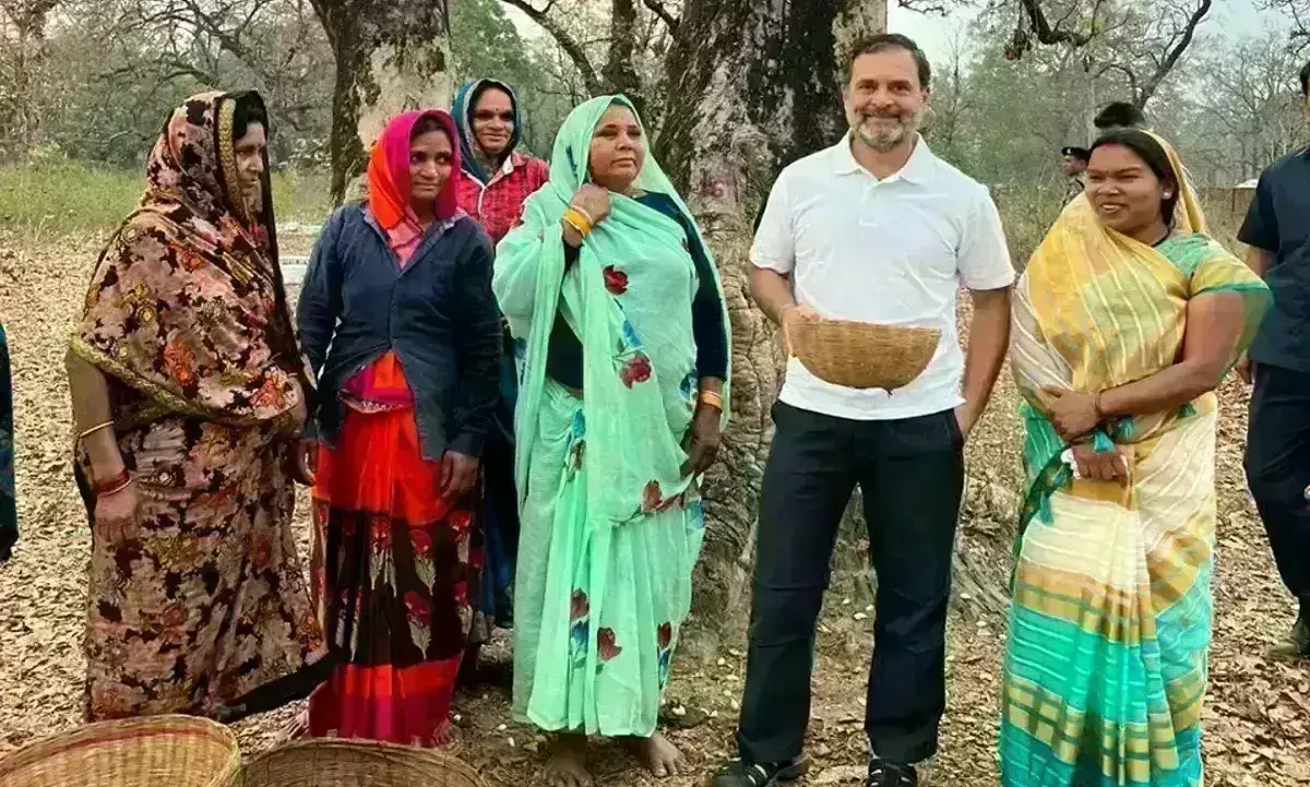 राहुल गांधी ने उमरिया में महिलाओं के साथ जंगल में बीना महुआ, चखा स्वाद