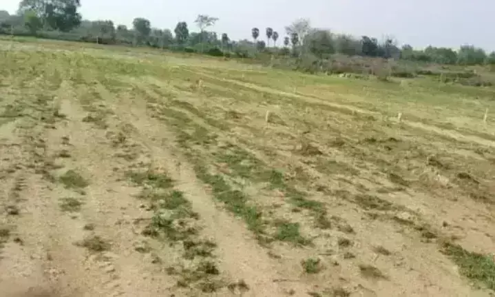 गोले का मंदिर चौराहे से एयरपोर्ट तक सर्विस रोड के लिए सरकारी जमीनों पर अतिक्रमण