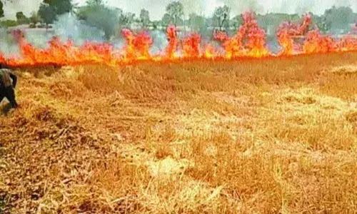 बागपत में खेतों में लगी आग, सैकड़ों बीघा फसल जलकर राख