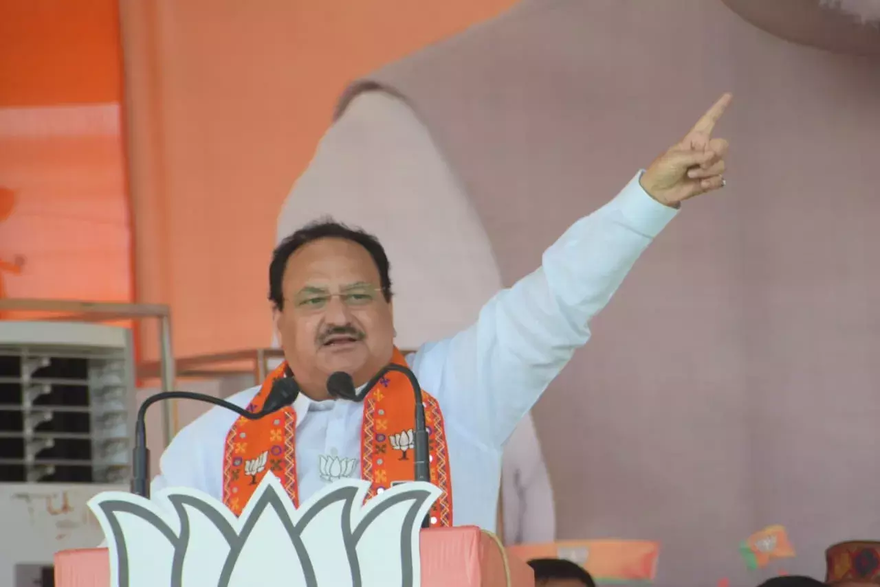 सतना की चुनावी सभा में बोले नड्डा- दस साल में बदल गया भारत