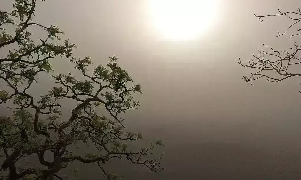 मप्र के उत्तरी हिस्से में आज चलेंगी गर्म हवाएं, छिंदवाड़ा-बालाघाट समेत 12 जिलों में बारिश का अलर्ट