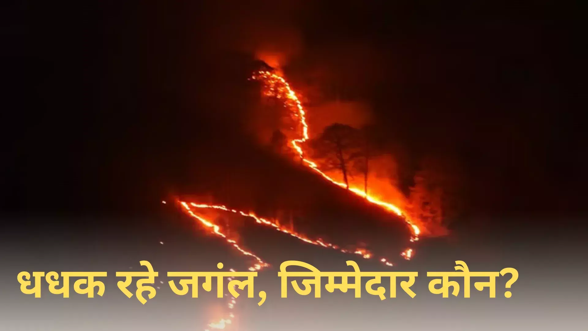 Uttarakhand Forest Fire: पहाड़ों में धधक रहे जंगल, जिम्मेदार कौन? अब तक इतने लोगों के खिलाफ़ मामला दर्ज