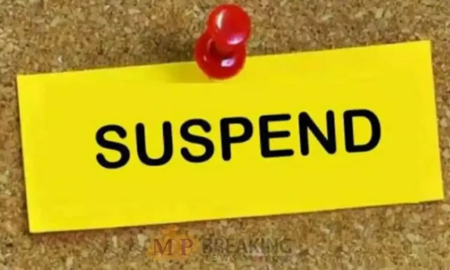 देवास प्रसाशन ने एक साथ 16 पटवारियों को नौकरी से निकाला, जानिए क्‍या है पूरा मामला...