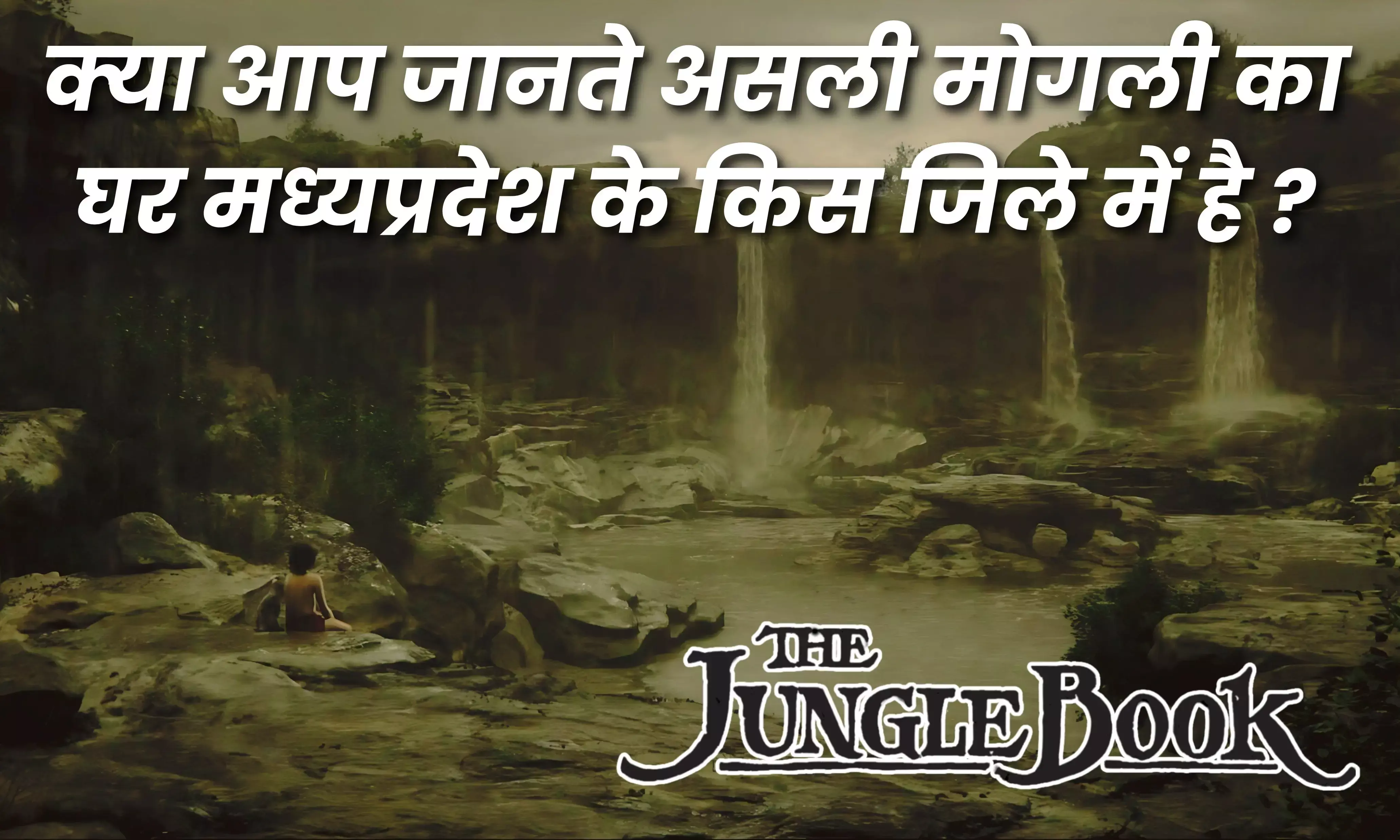 मध्य प्रदेश का पेंच नेशनल पार्क है मोगली का असली घर, घूमने का प्लान है तो जान लें ये बातें