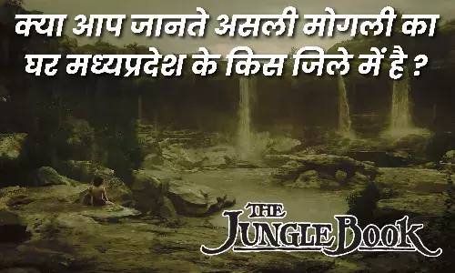 मध्य प्रदेश का पेंच नेशनल पार्क है मोगली का असली घर, घूमने का प्लान है तो जान लें ये बातें