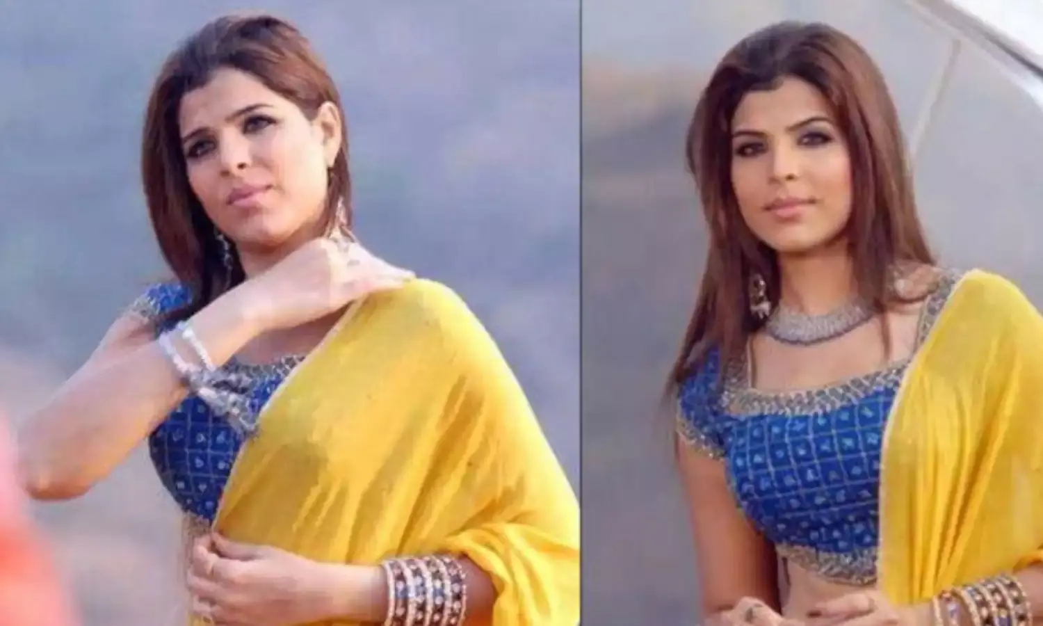 Laila Khan Murder Case : 13 साल बाद कोर्ट ने सुनाई सौतेले पिता को फांसी की सजा, जानिए कैसे किया था मर्डर