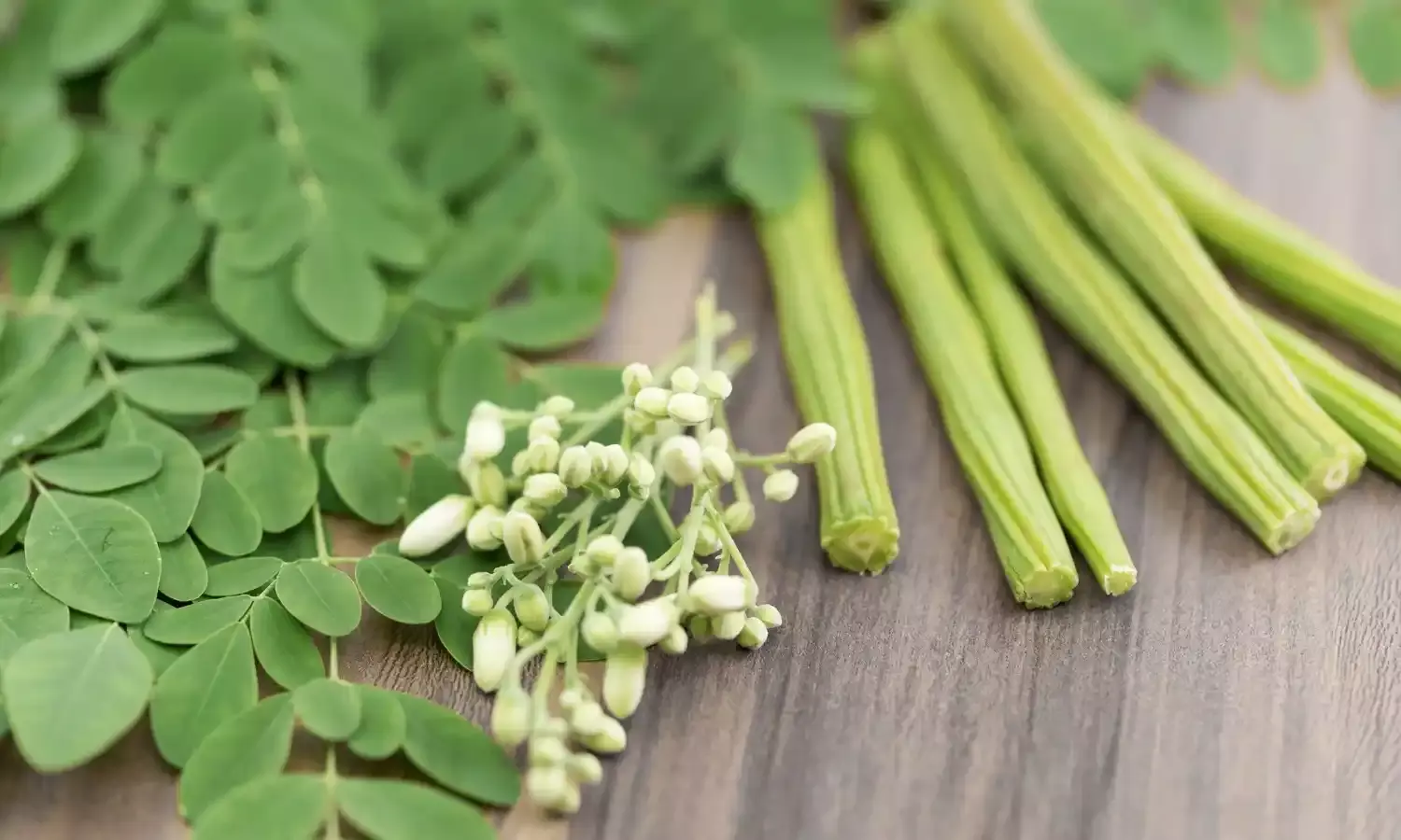 सहजन (मोरिंगा) खाने से होते हैं चमत्‍कारी स्‍वास्‍थ्‍य लाभ, इस प्रकार करें सेवन...