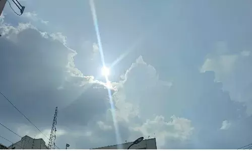 Rajasthan Heat Wave Death:राजस्थान में गर्मी से मचा हाहाकार, अबतक 12 लोगों की हुई मौत, मौसम विभाग ने किया अलर्ट जारी