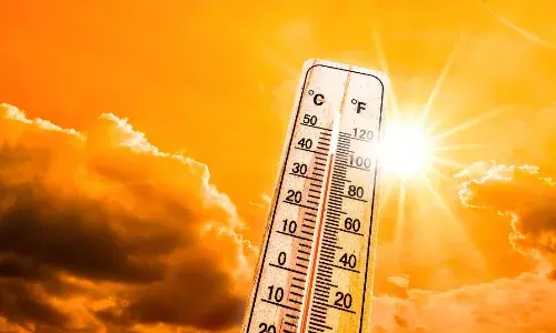 राजस्थान में सीमा पर तैनात BSF जवान की गर्मी से मौत, अब तक 29 ने गवाई जान