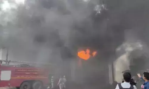 Raipur Factory Fire Incident:  कार्टन फैक्ट्री में लगी भीषण आग , झुलसकर दो महिला की मौत