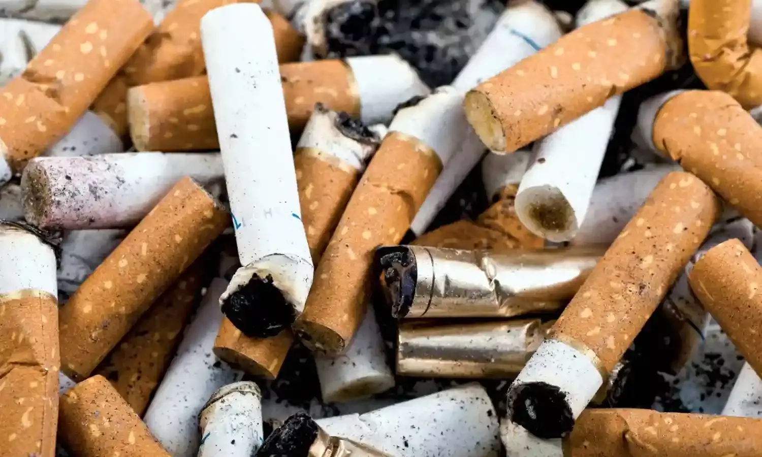 World No Tobacco Day: देश पर मडरा रहा खतरा! लगभग 40 प्रतिशत युवा सिर और गर्दन के कैंसर जूझ रहें है