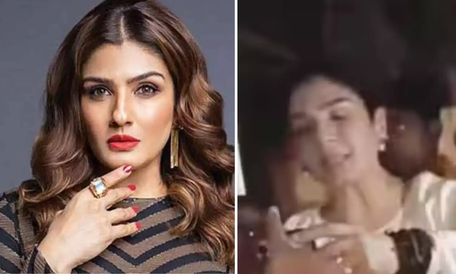 Raveena Tandon Viral Video : क्या रवीना टंडन ने लोगों से मारपीट की? सच आया सामने